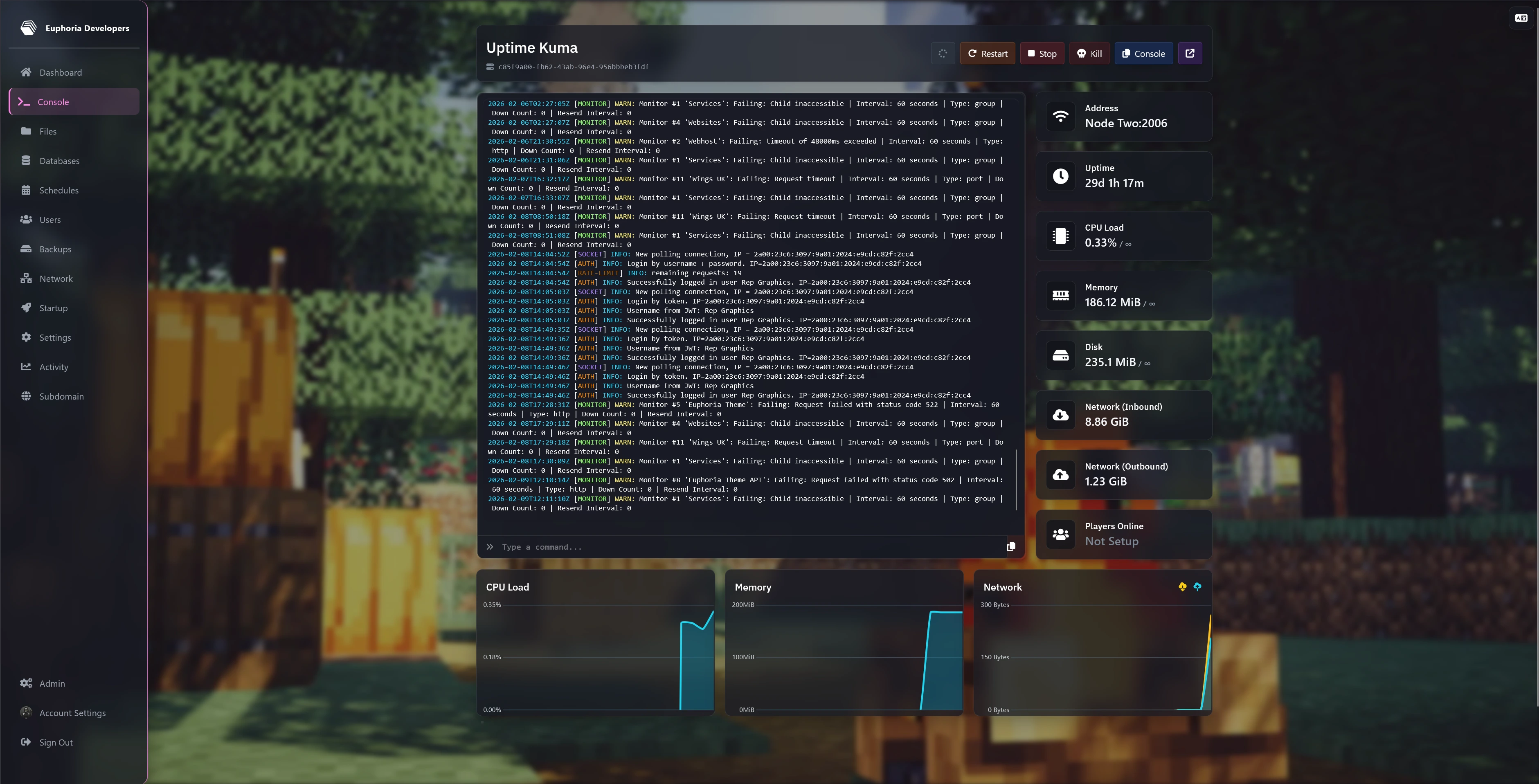 Console view
